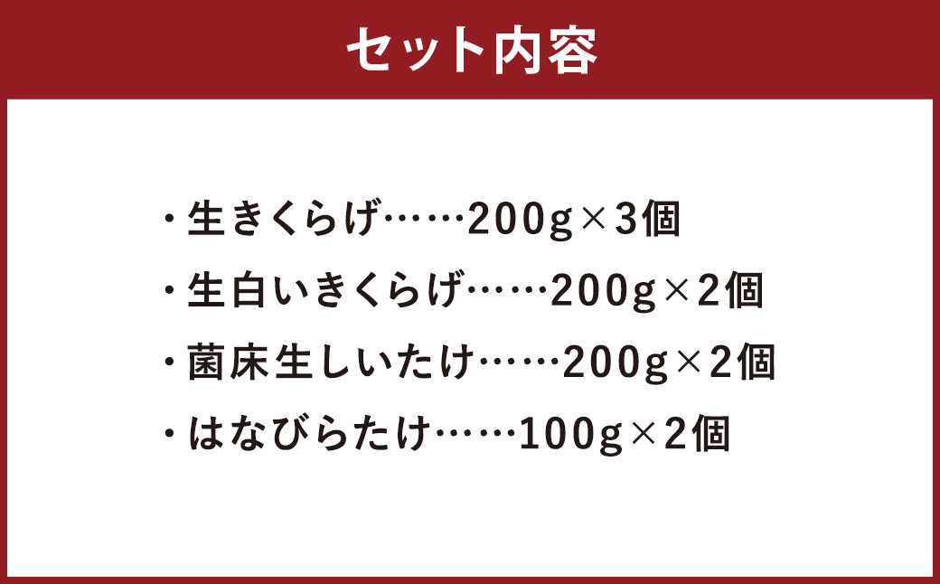 生きのこ セット 生きくらげ 生白いきくらげ 生しいたけ はなびらたけ