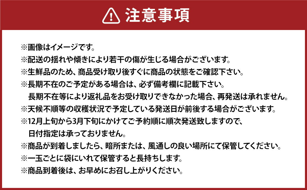 熊本市産 越冬蔵出し不知火(規格外品) 約8kg(4L-Ｍサイズ) 