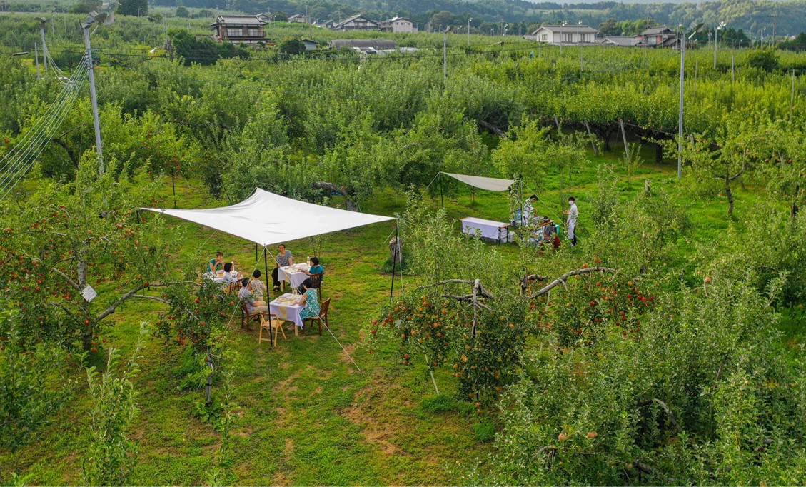 くだものの木に囲まれた最高のセッティングでご提供します!
