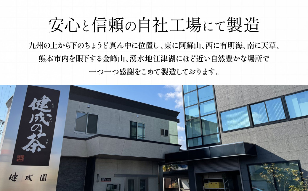 健成園セット (30包×6種 ルイボスティー 黒豆茶 そば茶 プアール茶 杜仲茶 ジャスミン茶) お茶 お土産 セット