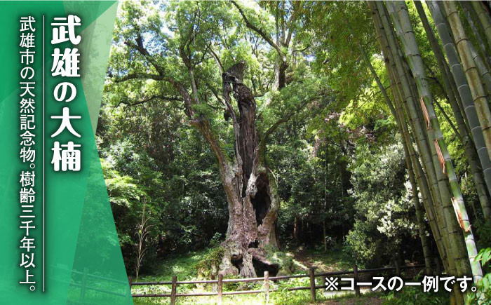 【貸切タクシーで武雄市観光！】ハイグレード仕様 タクシー 武雄市内 観光 （3時間）コース観光券 /温泉タクシー株式会社 [UA