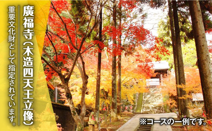 【貸切タクシーで武雄市観光！】ハイグレード仕様 タクシー 武雄市内 観光 （3時間）コース観光券 /温泉タクシー株式会社 [UA