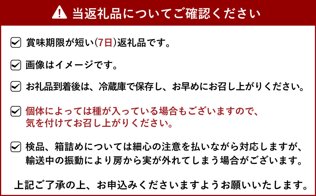 【先行予約】【2024年7月下旬より順次発送】不知火 発祥の地 うきうき シャインマスカット 2房 約1kg - 熊本県宇城市｜ふるさと ...