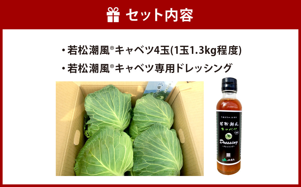 【期間限定】 若松潮風🄬 キャベツセット ( キャベツ 4玉 ＋ 専用 ドレッシング ) 野菜 生野菜 新鮮 国産