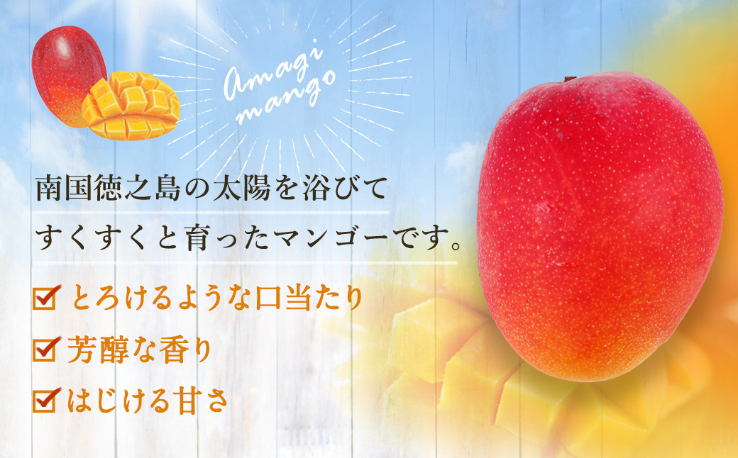 【先行受付開始!】【ご家庭用】完全無加温~地球に優しい 天城マンゴー 1kg