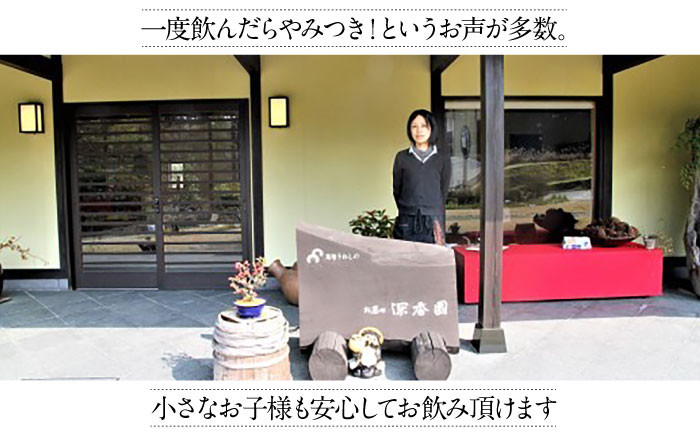 【喉ごしさっぱり！】全国でも珍しい 釜炒り 抹茶 茶 お茶 緑茶 日本茶 煎茶