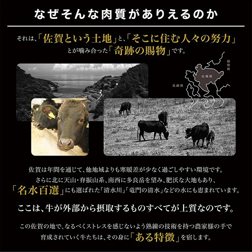 希少部位！佐賀牛ヒレサイコロステーキ800g：B067-002