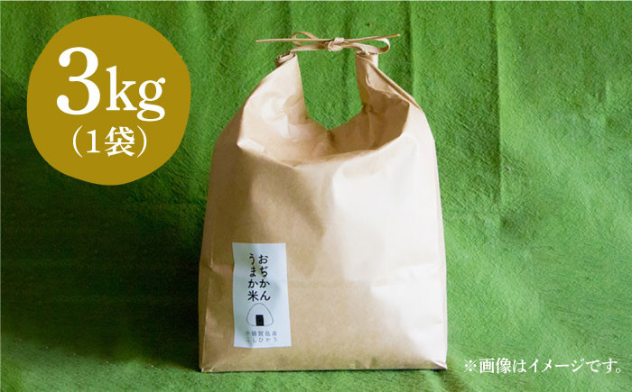 3kg 新米
