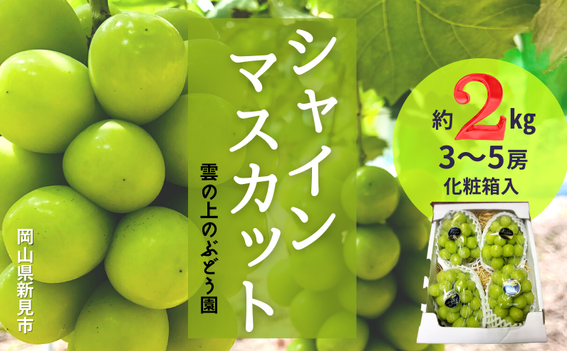 雲の上のぶどう園から、シャインマスカット3～5房（約2kg）をお届けします！