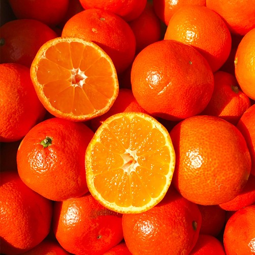 熊本県産みはや 約5キロ 果物 柑橘類