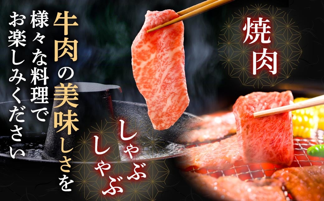 【3ヶ月定期便】熊本県産 A5等級 黒毛和牛 和王 食べ比べ