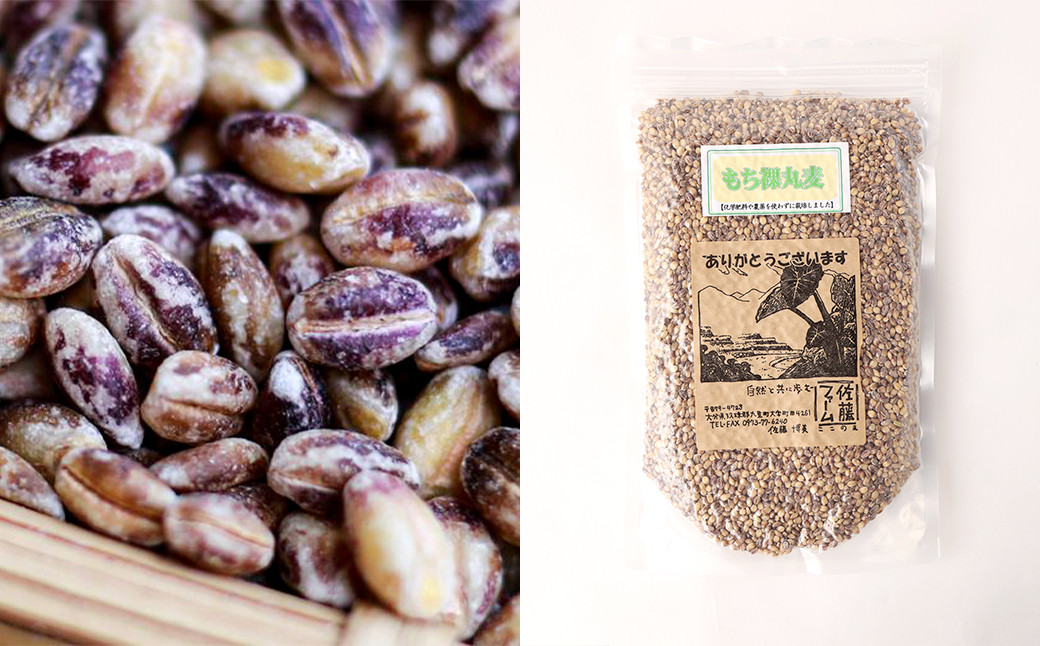 さとうファームの もち裸丸麦 2.1kg(700g×3袋)