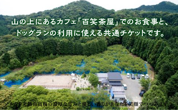 【愛犬と楽しいひと時を！】Cafe 百笑茶屋＆ドッグランで使える共通 チケット /お百笑さん [UAZ002] 食事券 体験 チ