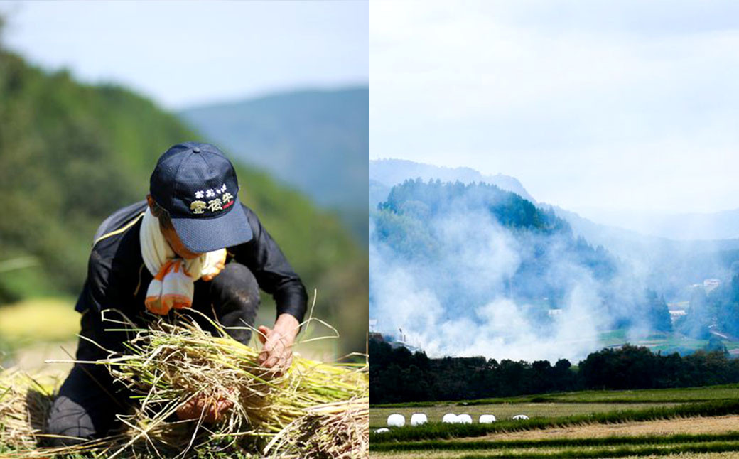 さとうファーム 麹のあまざけ 900ml×4本