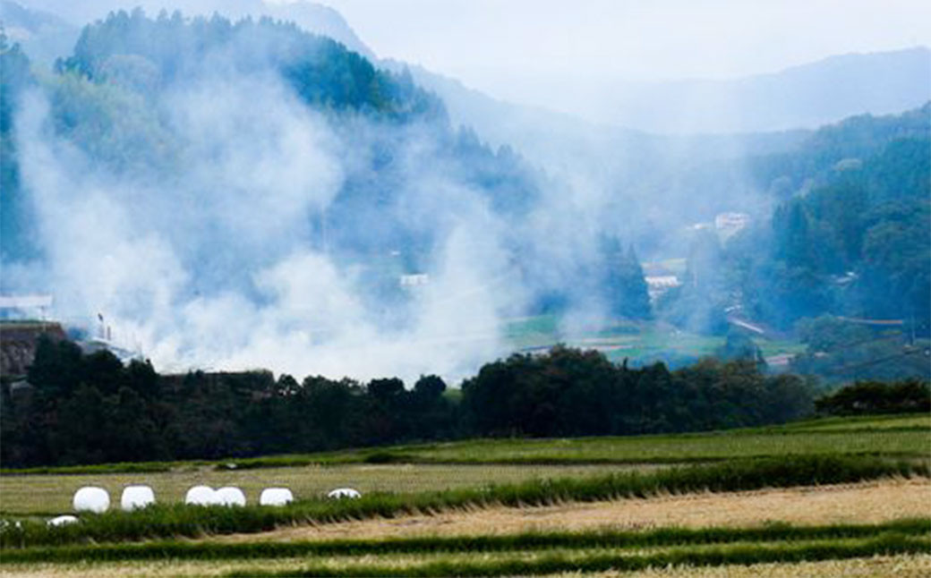 さとうファームの 自然栽培米 白米 20kg(5kg×4袋) ミルキークイーン