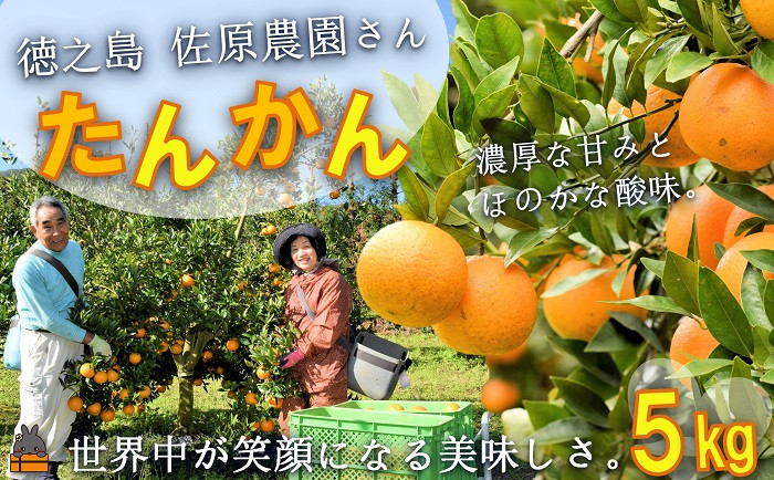 徳之島の佐原農園さんから濃厚な甘みとほのかな酸味が美味しい！たんかんをお届けします。