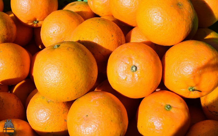 てぃだ（太陽）の恵みをたくさん受けて育ちました！！