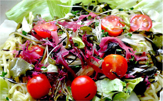 ワカメ 海藻 乾燥わかめ 干しわかめ 送料無料 国産 チャック付き