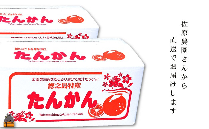 徳之島の佐原農園さんから直送でお届けします。※画像はイメージです。