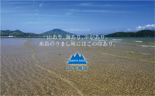 ワカメ 海藻 乾燥わかめ 干しわかめ 送料無料 国産 チャック付き