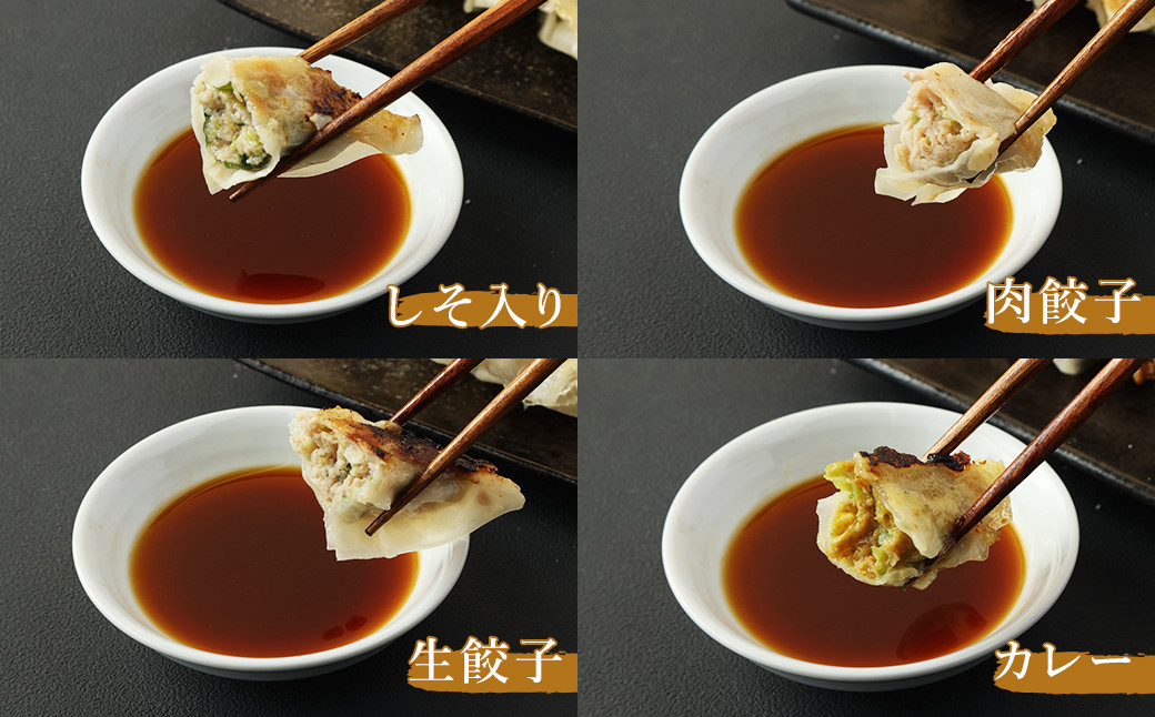 熊本県産 火の君ポーク® 使用生餃子5種セット ポーク 詰め合わせ ギフト 九州 餃子