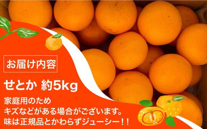 せとか 5kg