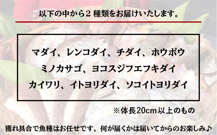 ご自宅で簡単にお魚をたべられるセットをお届けします