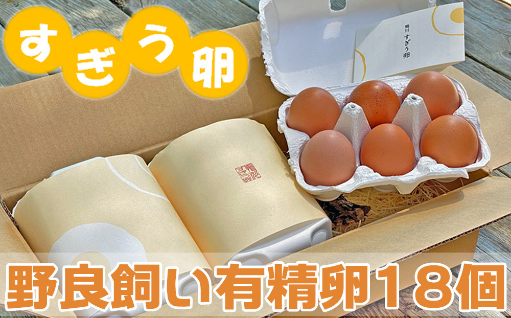 鴨川で育った本当の自然の卵をお届けします。