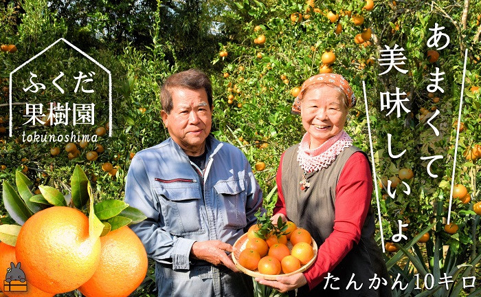 ふくだ果樹園さんのあまくて美味しい「たんかん」を直送でお届けします！！