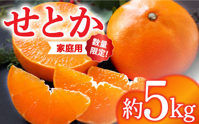 せとか 5kg