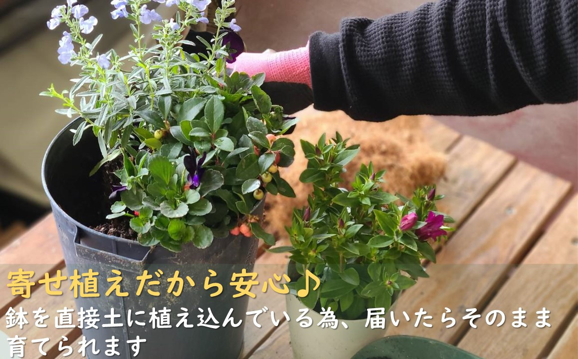 手間いらず
