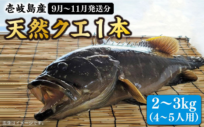 人気 うに ウニ 雲丹  新鮮 海鮮 特産品 贈り物 ギフト   魚介 ごはんの