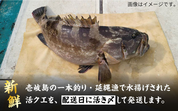 人気 うに ウニ 雲丹  新鮮 海鮮 特産品 贈り物 ギフト   魚介 ごはんの