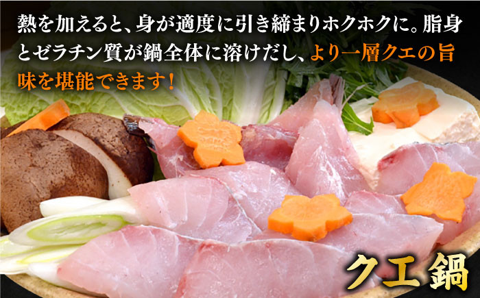 人気 うに ウニ 雲丹  新鮮 海鮮 特産品 贈り物 ギフト   魚介 ごはんの