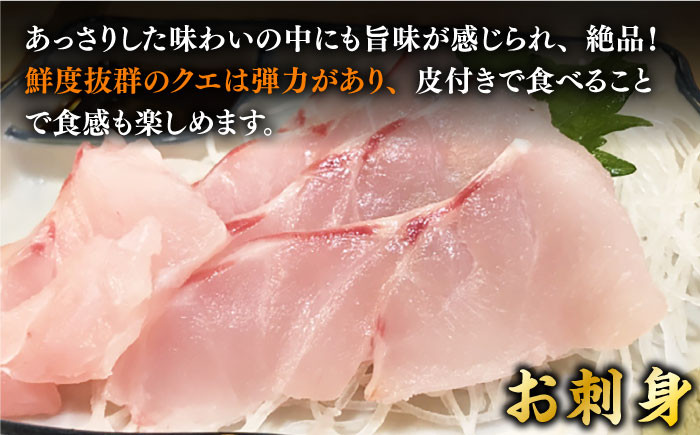 人気 うに ウニ 雲丹  新鮮 海鮮 特産品 贈り物 ギフト   魚介 ごはんの
