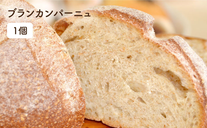 パン 国産 詰め合わせ セット 卵 乳製品 不使用 冷凍 ブラン