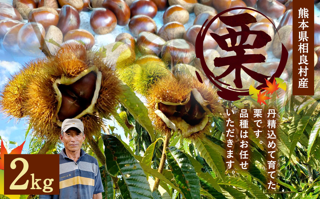 熊本県 相良村産 栗（品種おまかせ） 2kg×1袋