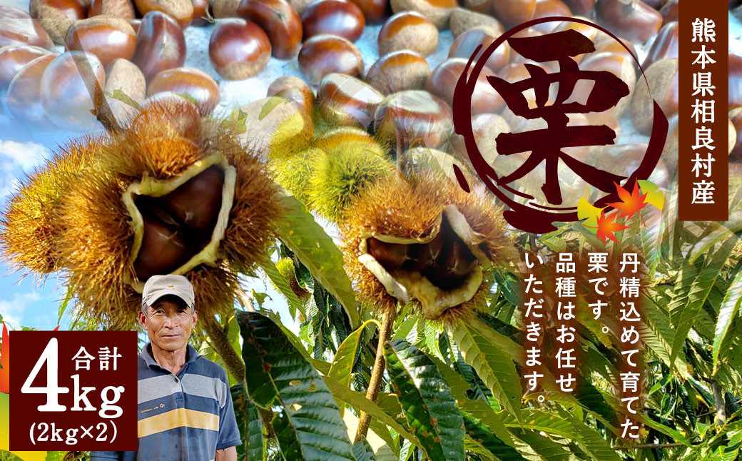 熊本県 相良村産 栗（品種おまかせ） 合計4kg