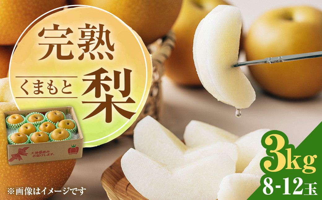 完熟 くまもと梨 3kg