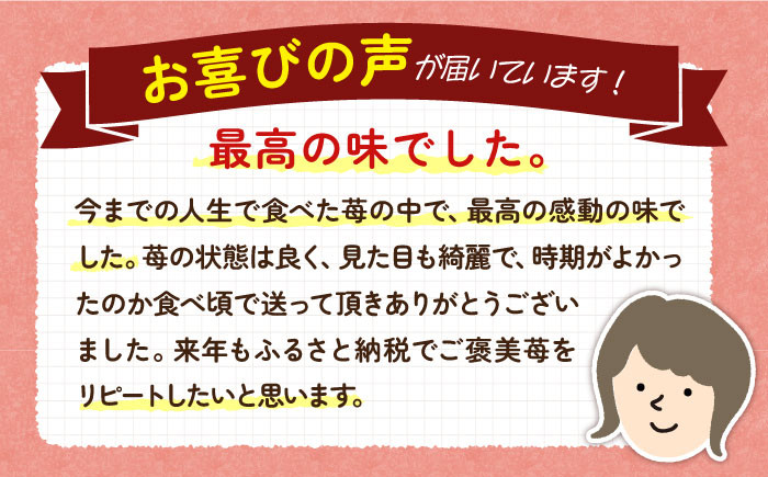 おすすめ オススメ 人気 贈り物 ギフト いちご イチゴ 苺 フルーツ 果物