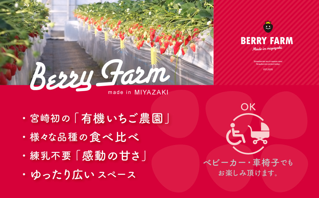 ＜いちご摘み体験チケット 1枚＞