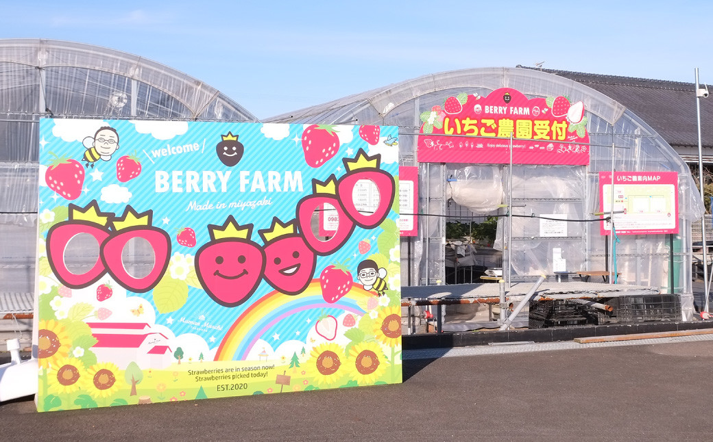 ＜いちご摘み体験チケット 1枚＞