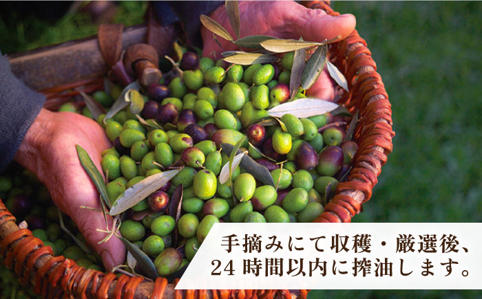  オリーブ オリーブオイル  ギフト プチギフト 保湿 ハンドクリーム 美容