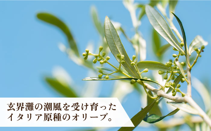  オリーブ オリーブオイル  ギフト プチギフト 保湿 ハンドクリーム 美容