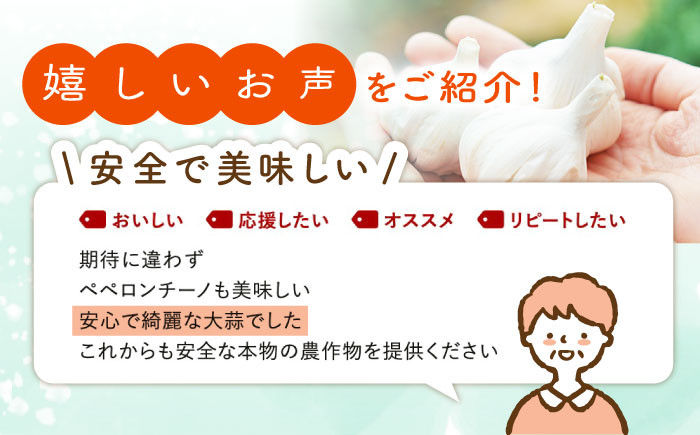 EA08 【無肥料・無農薬】ニンニク 1kg【浅田峠自然塾】-5