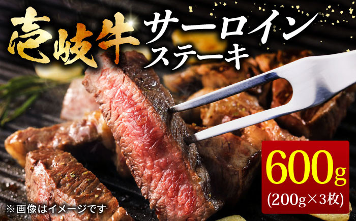 ステーキ 人気 和牛  壱岐牛 希少 柔らかい やわらかい 贈り物 ギフト  肉