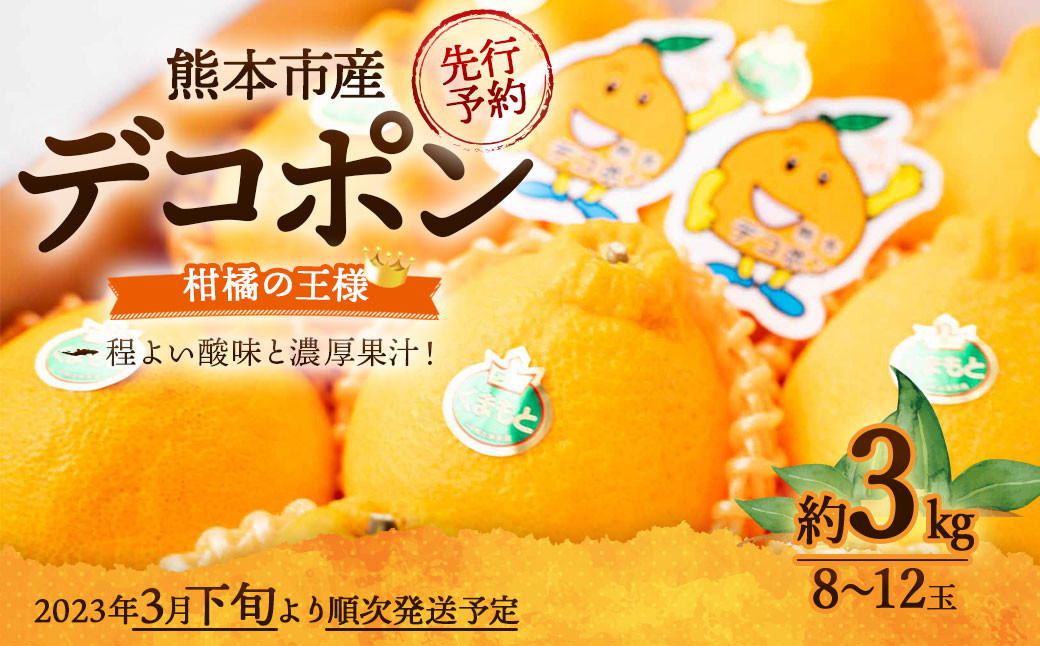 熊本市産 デコポン 約3kg(8～12玉) 