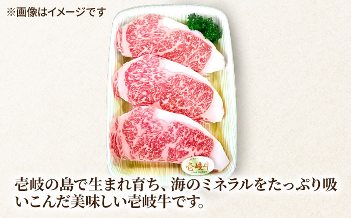 ステーキ 人気 和牛  壱岐牛 希少 柔らかい やわらかい 贈り物 ギフト  肉