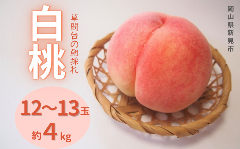 新見市の人気果樹園からお届けします！！