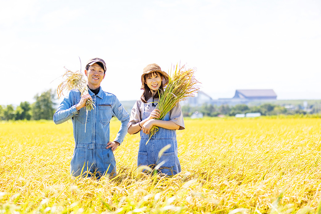 【3回定期便】田園交響楽 ゆめぴりか 10kg  お米 精米 白米 北海道 定期便